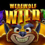 Werewolf Wilds